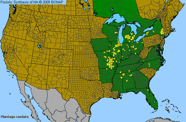 Allergies By County Map For Heart-Leaf Plantain