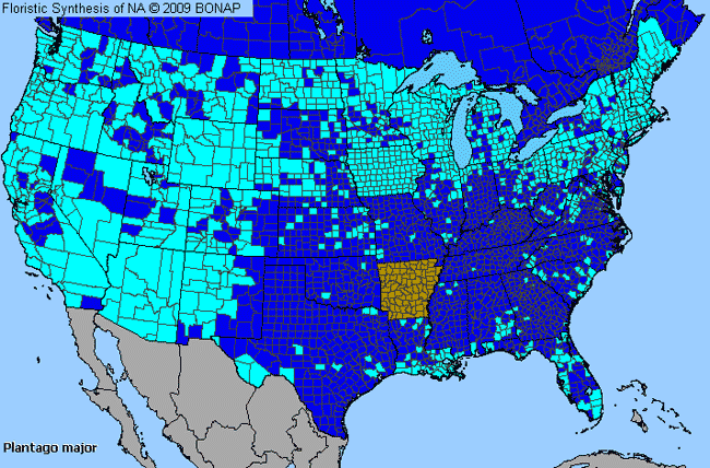 Allergies By County Map For Great Plantain