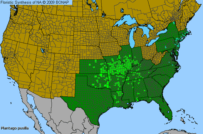 Allergies By County Map For Dwarf Plantain