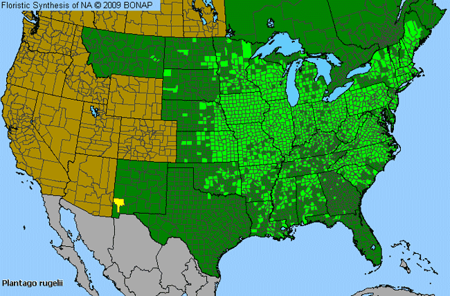 Allergies By County Map For Black-Seed Plantain