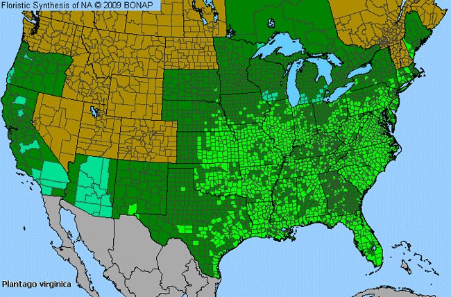 Allergies By County Map For Pale-Seed Plantain
