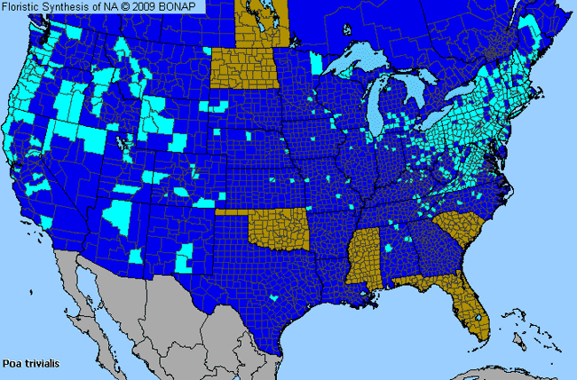 Allergies By County Map For Rough-Stalk Blue Grass