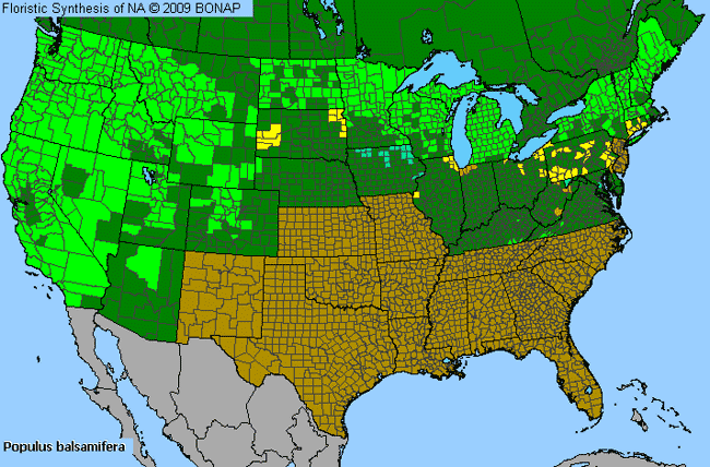 Allergies By County Map For Balsam Poplar