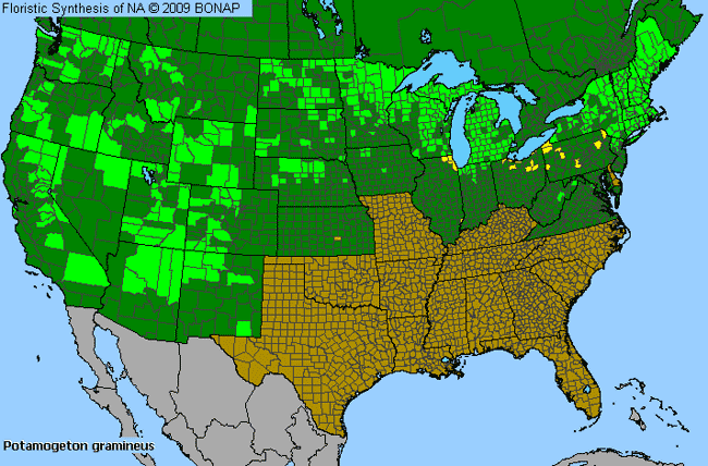 Allergies By County Map For Grassy Pondweed