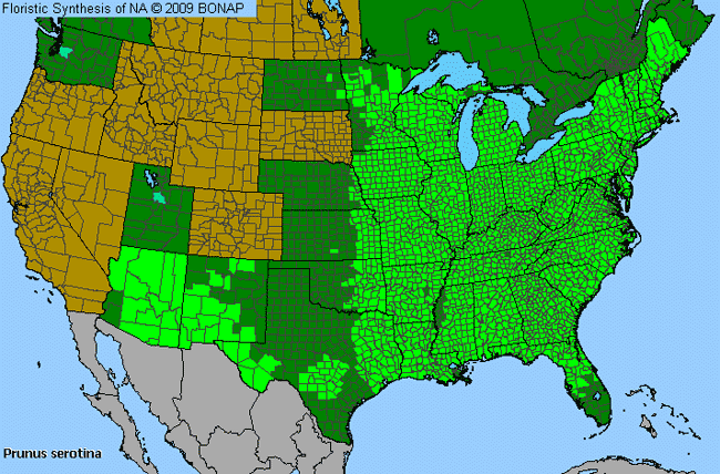 Allergies By County Map For Black Cherry