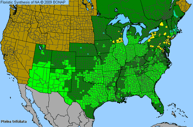 Allergies By County Map For Common Hoptree