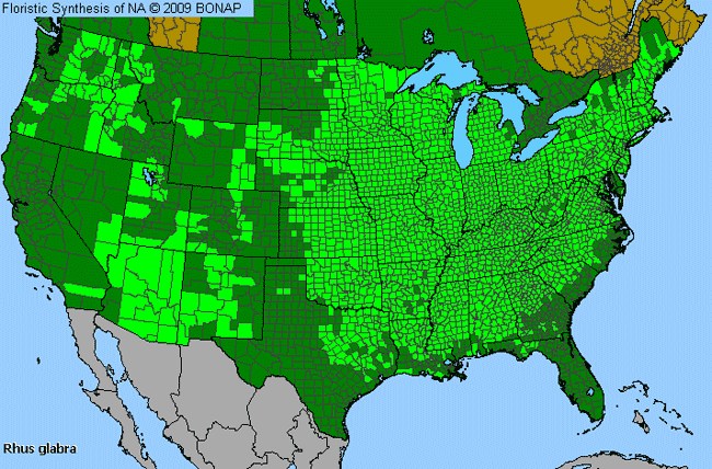 Allergies By County Map For Smooth Sumac