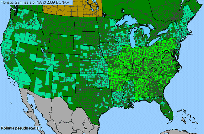 Allergies By County Map For Black Locust
