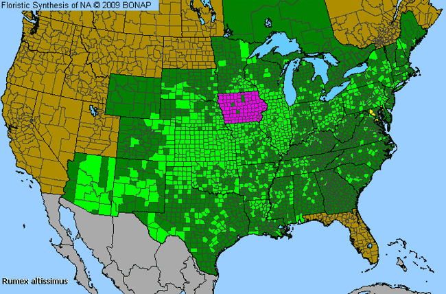 Allergies By County Map For Pale Dock
