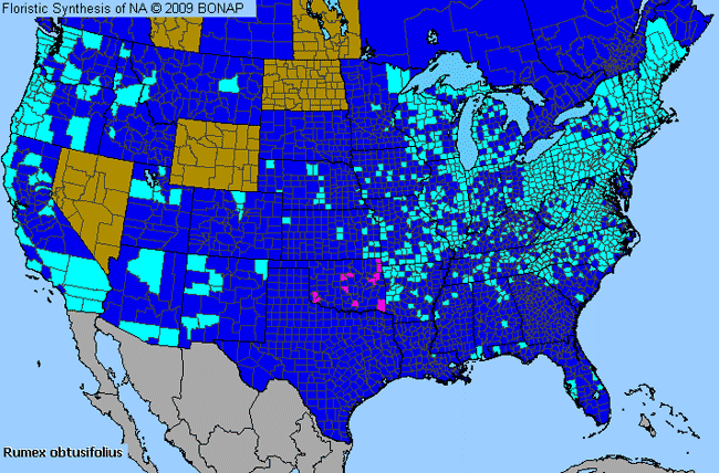 Allergies By County Map For Bitter Dock