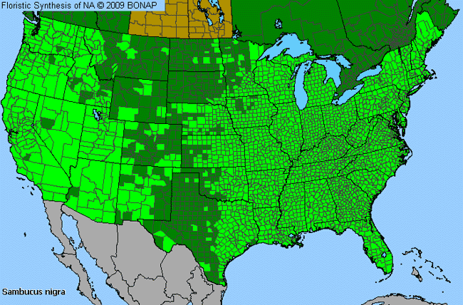 Allergies By County Map For Black Elder