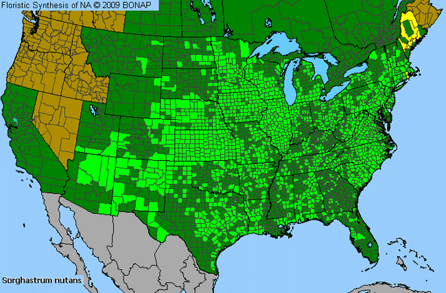 Allergies By County Map For Yellow Indian Grass