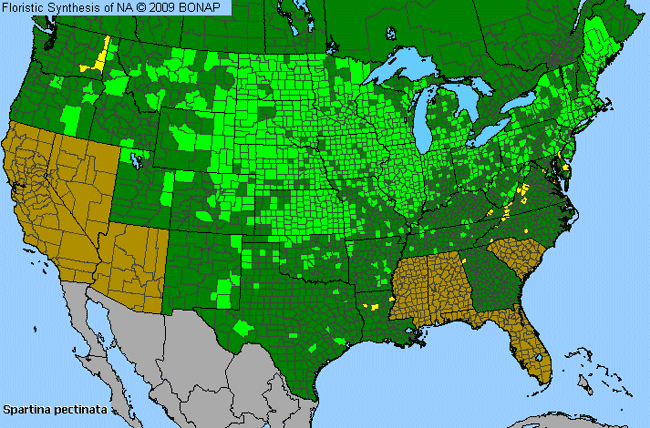Allergies By County Map For Freshwater Cord Grass
