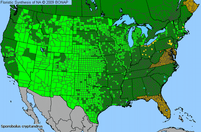 Allergies By County Map For Sand Dropseed