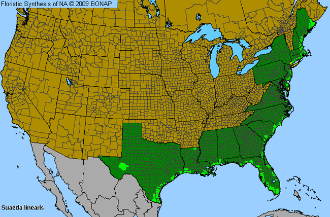 Allergies By County Map For Annual Seepweed