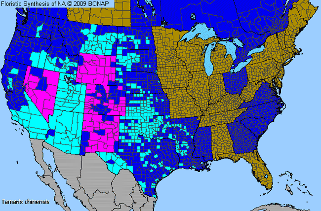 Allergies By County Map For Salt-Cedar