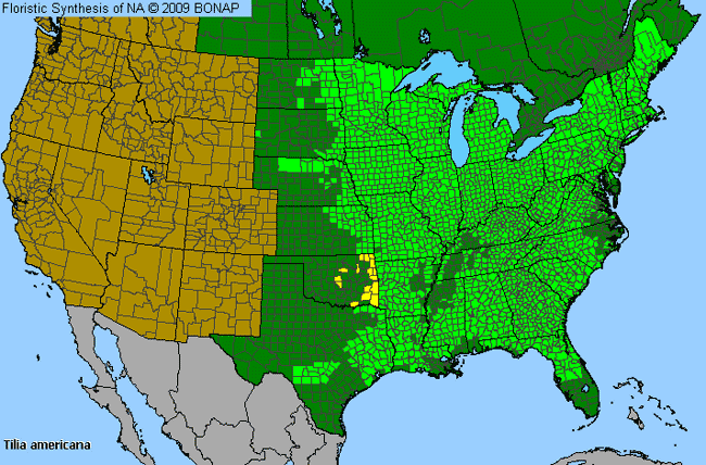 Allergies By County Map For American Basswood