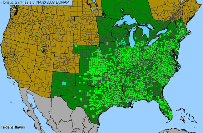 Allergies By County Map For Tall Redtop