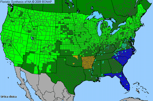 Allergies By County Map For Stinging Nettle