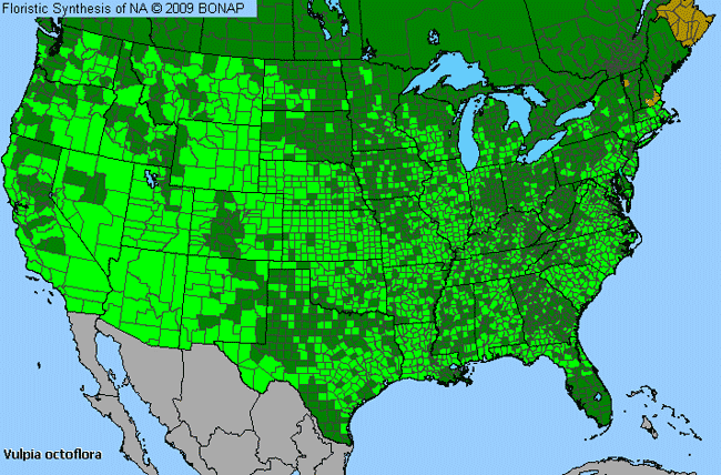 Allergies By County Map For Eight-Flower Six-Weeks Grass