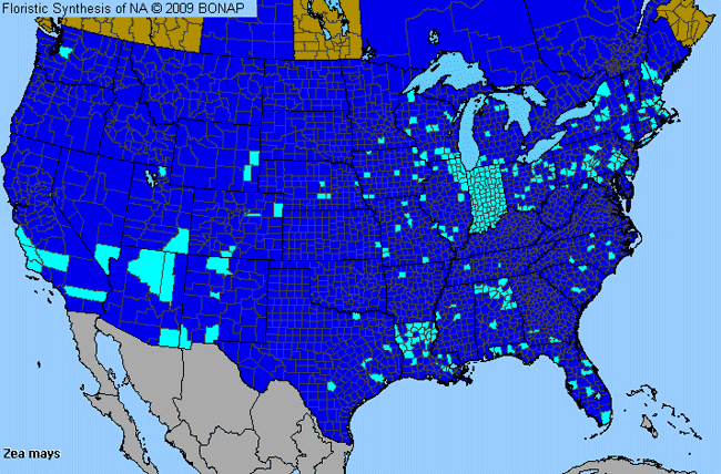 Allergies By County Map For Corn