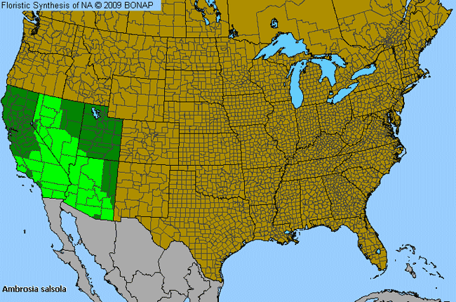 Allergies By County Map For White Cheesebush