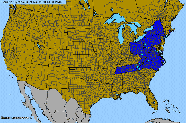 Allergies By County Map For Common Box