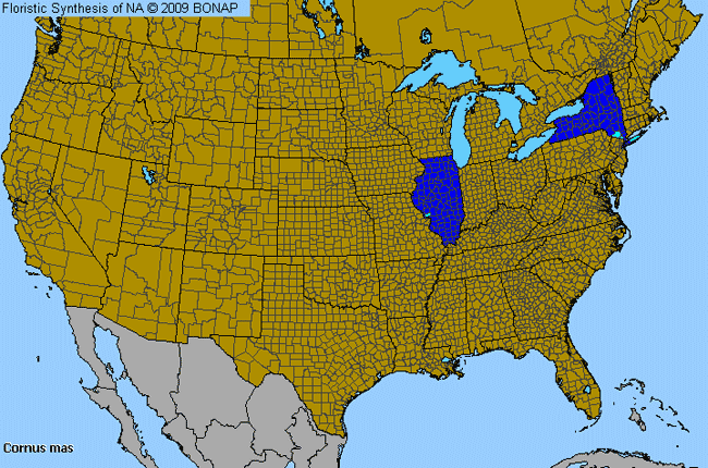 Allergies By County Map For Cornelian-Cherry