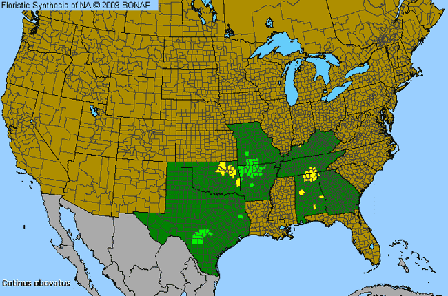 Allergies By County Map For American Smoketree