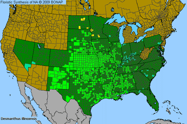 Allergies By County Map For Prairie Bundle-Flower