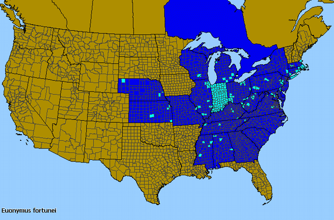 Allergies By County Map For Winter-Creeper