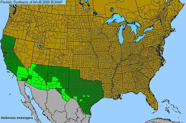 Allergies By County Map For Single-Whorl Cheesebush