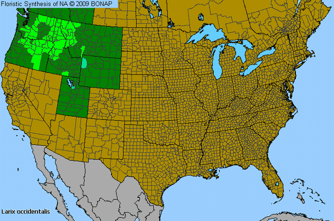 Allergies By County Map For Western Larch