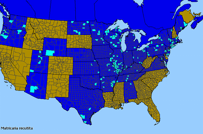 Allergies By County Map For Wild Chamomile