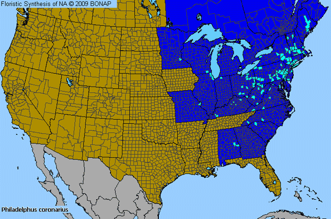 Allergies By County Map For Sweet Mock Orange