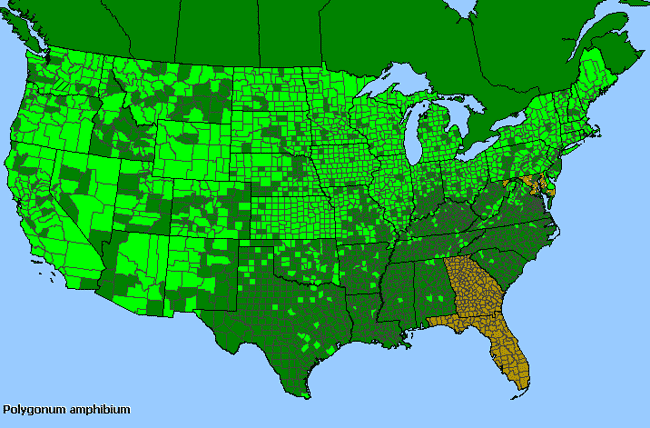 Allergies By County Map For Water Smartweed