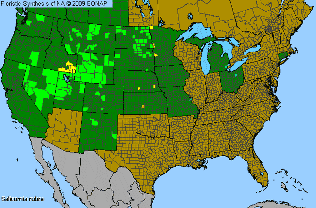 Allergies By County Map For Red Saltwort