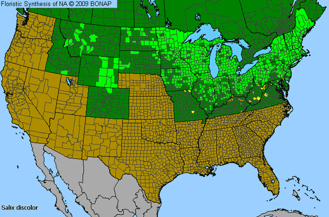 Allergies By County Map For Pussy Willow