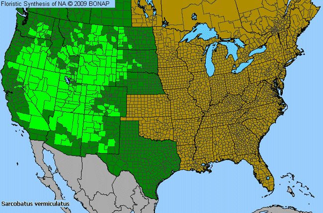 Allergies By County Map For Greasewood