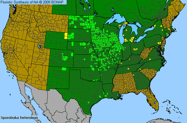Allergies By County Map For Prairie Dropseed