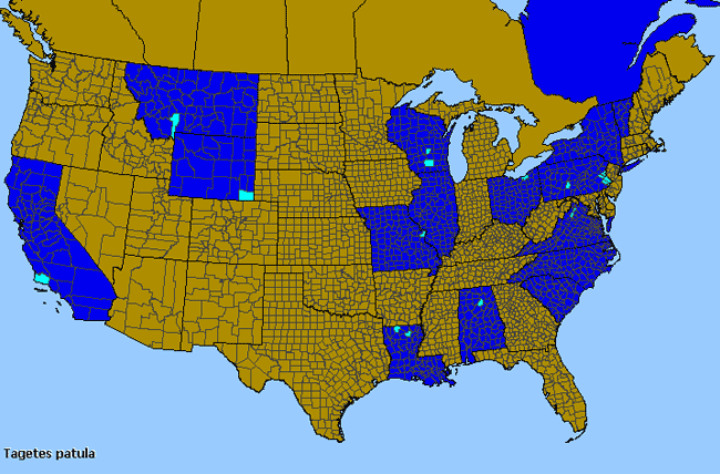 Allergies By County Map For French Marigold