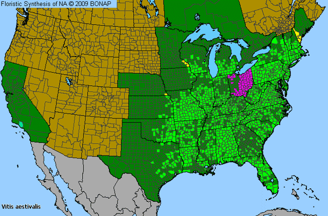 Allergies By County Map For Summer Grape