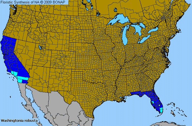 Allergies By County Map For Washington Fan Palm