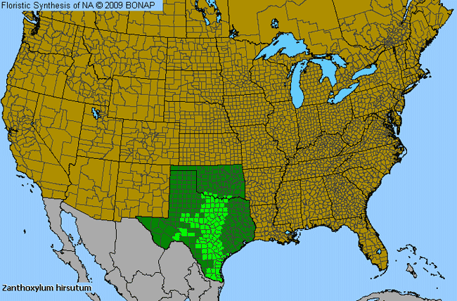 Allergies By County Map For Texas Hercules'-Club