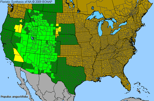 Populus Map PollenLibrary.com - Allergen and Botanic Reference Library